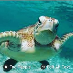 Meet your Posher, Alan